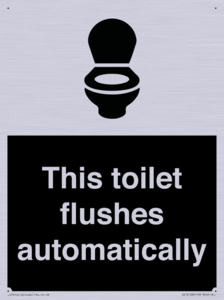 This toilet flushes automatically